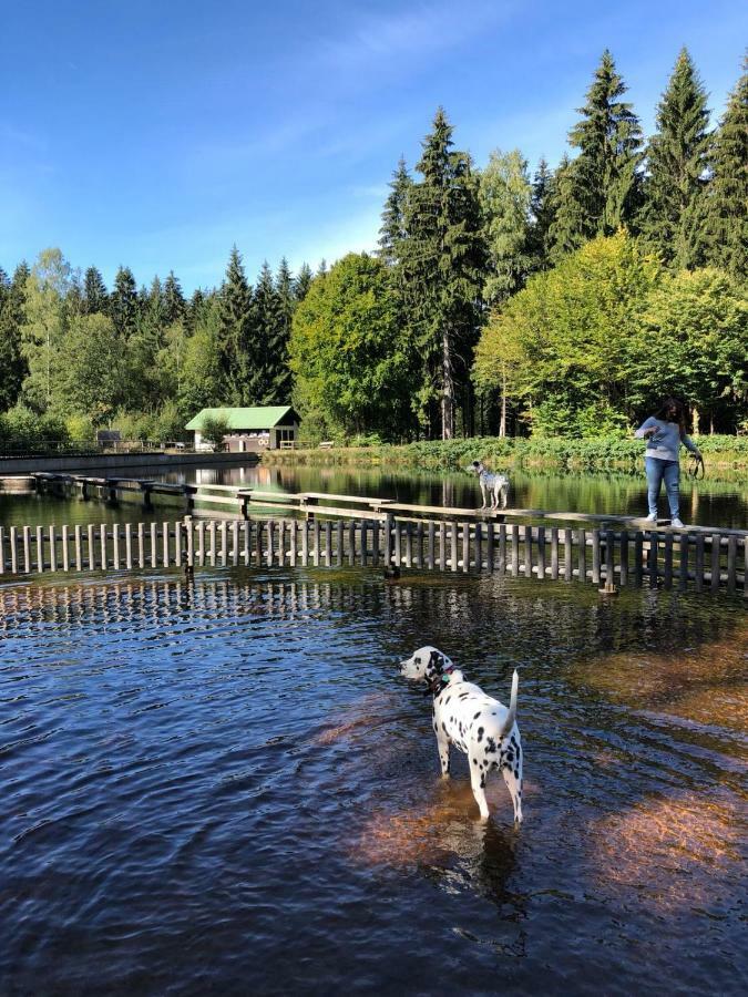 Pension Maddox Warmensteinach Eksteriør billede